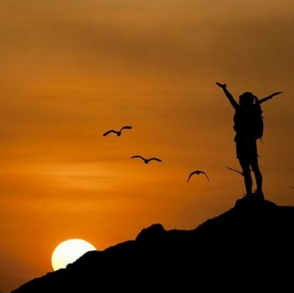 Meet your Posher, Dee - Picture 1 of 1